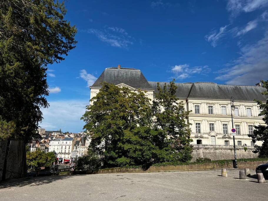 T2 Proche Du Chateau De Blois Zewnętrze zdjęcie
